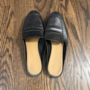Everlane loafer mules